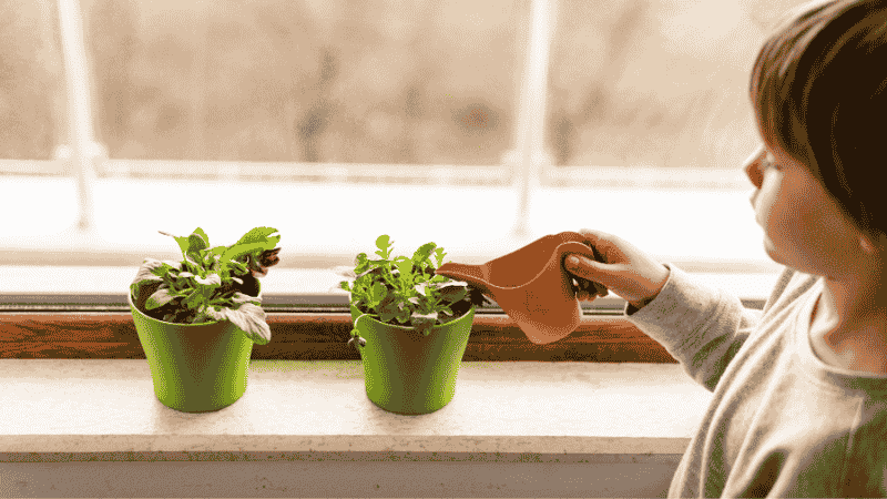 Artificial herbs in small pots on a windowsill.