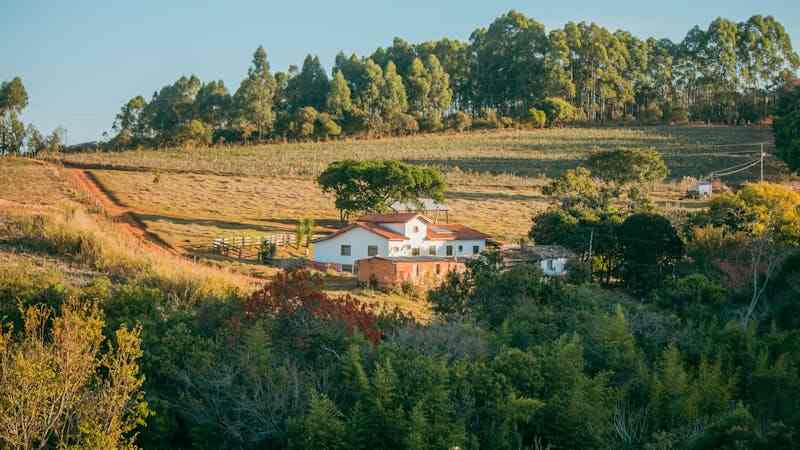 Greenery in Sustainable Agriculture