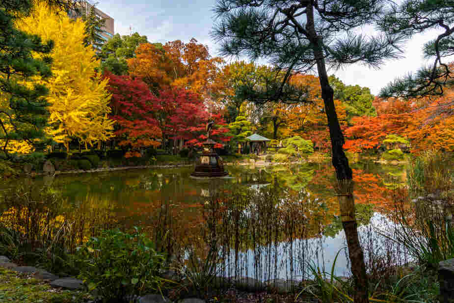 Thriving Sustainable Garden with Nature