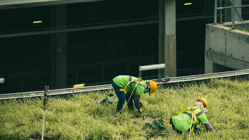 Urban Farming