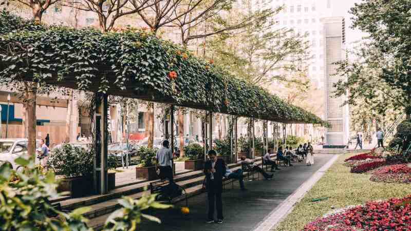 plants providing shade in an urban setting, 