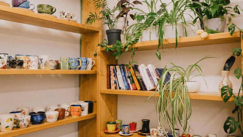 Indoor Plants