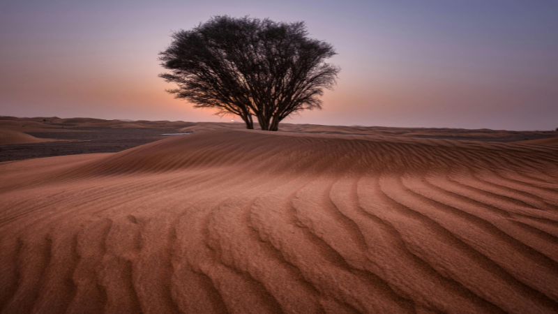 types of desert