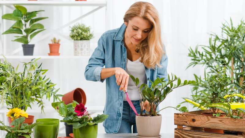 Indoor herb garden