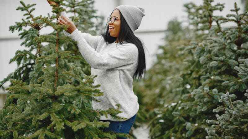 Plants care during winter