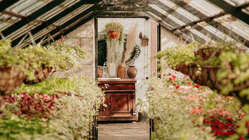 mirror on a garden wall reflecting plants