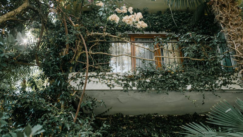  Lush Balcony Garden